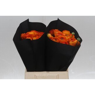 Freshy Ranunculus Eleg Super x25 Orange