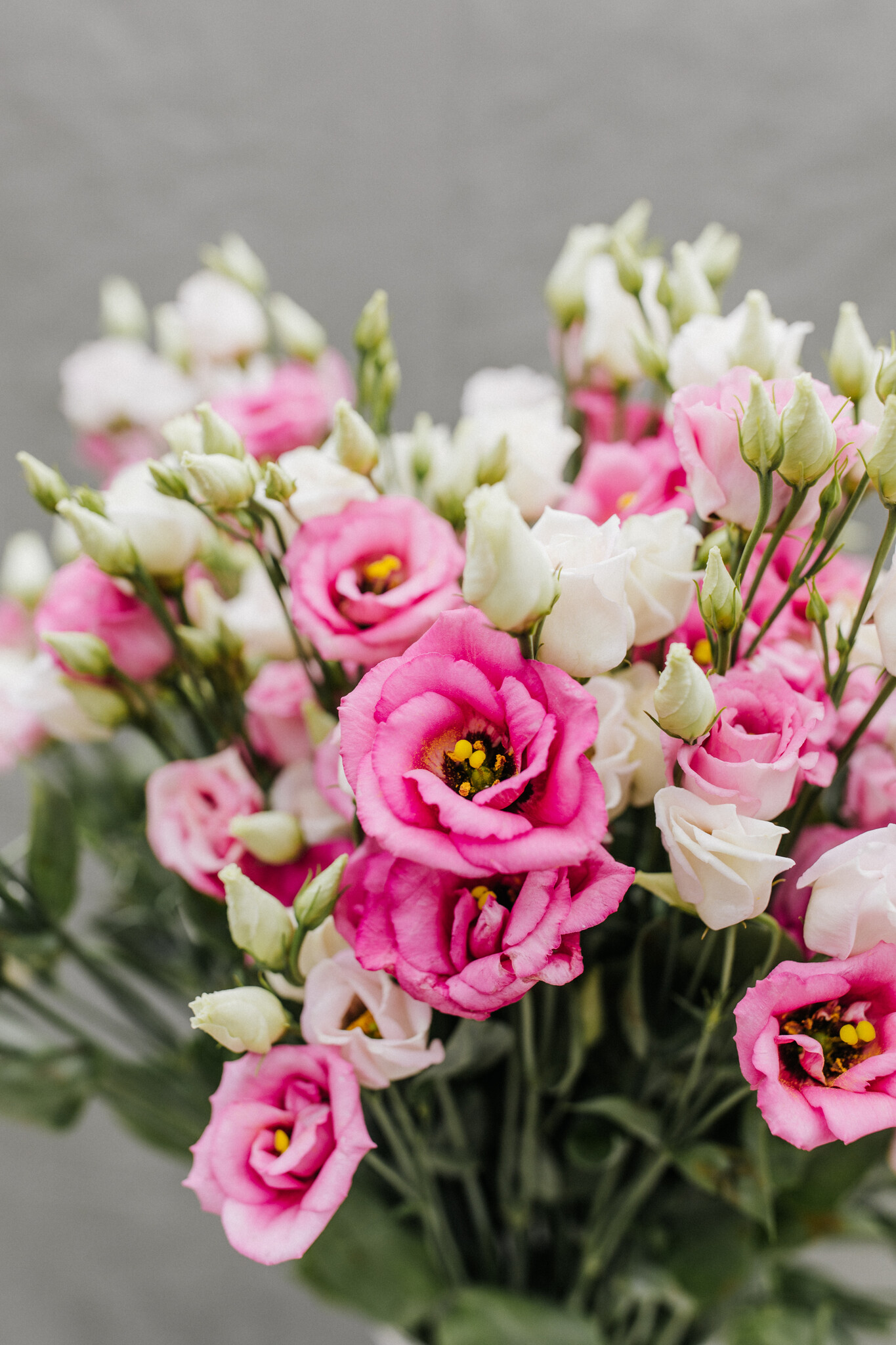Fresh Flowers: Direct from the Grower for B2B | B2B Flowers