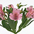 Alstroemeria