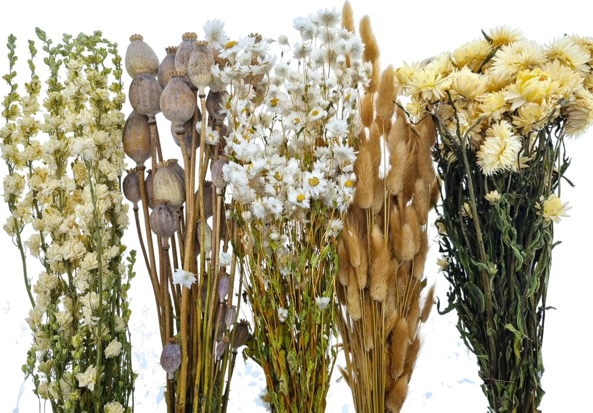 Trockenblumen 5-zu-1 DIY Set für Großfloristen 