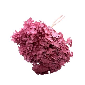 Casa Alegria Hydrangea Cabeza Preserved | Pink Dark | 70 cm | Per 1 stems