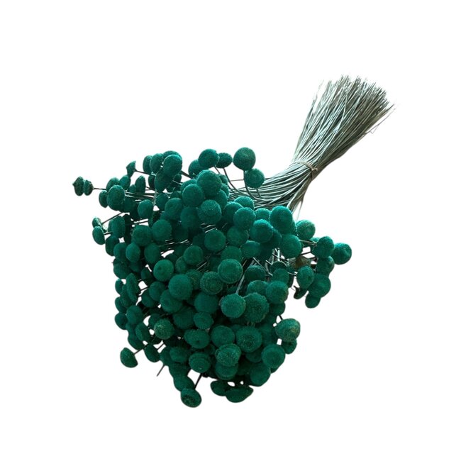 Botao | Blue Aqua | 100 gr | 45 cm