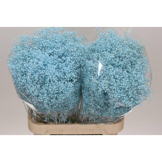 Freshy Gyps Kleurbehandeld Million Light Blue