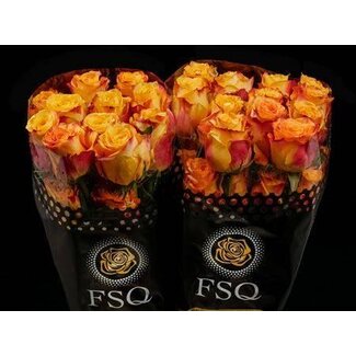 Freshy R Eq Silantoi Xl