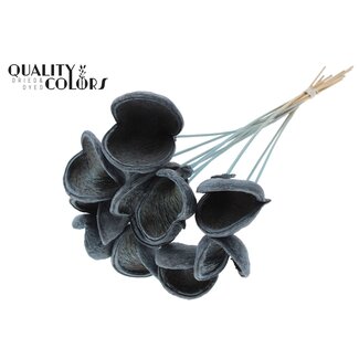 QC Almond on stem | Colour: Frosted Light Blue | Length of stick approx. 50 centimetres | 10 stems per bunch | Per bunch