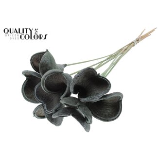 QC Badam op steel | Kleur: Frosted Mintgroen | Lengte bijsteker ± 50 centimeter | 10 stelen per bos | Per bos