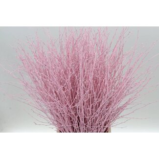 Freshy Berkentakken | Kleur: Lichtroze | Lengte ± 60 centimeter | Per 5 takken