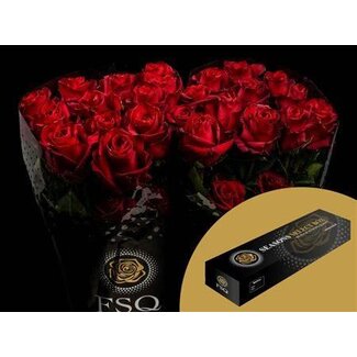 Freshy Large-flowered Rose “Explorer” | Colour: Red | Length ± 50 centimetre | Origin Ecuador | Per 25 stems