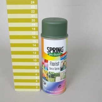4A Spray Paint Colour Spray "Moss Green" | Colour: Green | Content 400 millilitres | Spring Pro Florist Deco Spray | Per spray can