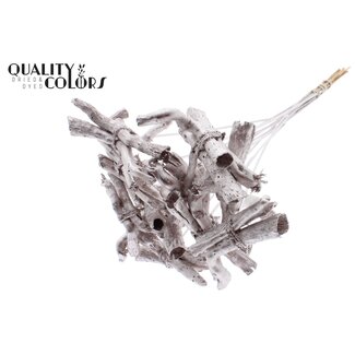 QC Gandiraj Branches on Stick | Colour: Metallic Champagne | Gandiraj Insert Stick | Length ± 50 centimetres | 10 insert sticks per bunch