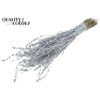 QC Getrockneter Lavendel | Farbe: Metallic Silberfarben | Lavendel Trockenblumen | Länge ± 50 Zentimeter | Pro Bund