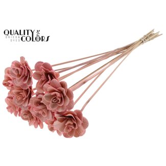 QC Shola Rose on stem | Colour: Light pink | Shola Beetal Rose | Diameter 6 centimetre | Length ± 50 centimetre | 10 side picks per bunch | Per bunch