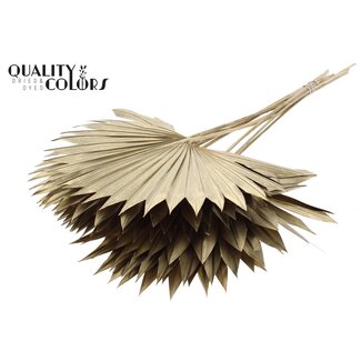 QC Gedroogde Palm Sun Spear | Kleur: Antiek Goudkleurig | Palmbladeren in Waaiervorm | Lengte ± 50 centimeter | 10 takken per bos | Per bos