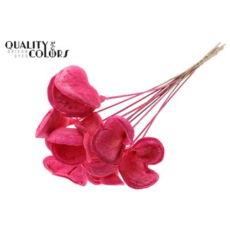 QC Gebleekte Badam op stok | Kleur: Kerskleurig | Lengte bijsteker ± 50 centimeter | 10 bijstekers per bos