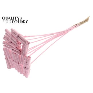 QC Dekorative Jute-Stäbchen-Bouquet auf Stab | Farbe: Hellrosa | Jute-Stick-Posy-Stecker | Länge ± 50 Zentimeter | 10 Stecker pro Bund