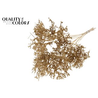 QC Dry Tree on stick | Colour: Metallic Antique Gold | Dry Tree Stick | Stick length ± 50 centimetres | 10 sticks per bunch