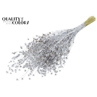 QC Lino Lin séché | Couleur : Argenté | Fleurs séchées de lin | Longueur ± 50 centimètres | Poids 150 grammes | Par bouquet