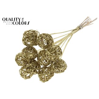 QC Rotan Bal op stok | Kleur: Goudkleurig | Bruce Ball Bijsteker | Diameter 5 centimeter | Lengte ± 50 centimeter | 10 bijstekers per bos