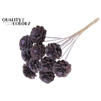 QC Halve Dennenappel op stok | Kleur: Frosted Milkapaars | Diameter 5 - 7 centimeter | Lengte ± 50 centimeter | 10 bijstekers per bos