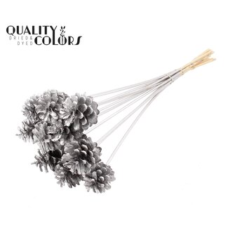 QC Dennenappel op stok | Kleur: Zilverkleurig | Diameter 5 - 7 centimeter | Lengte ± 50 centimeter | 10 bijstekers per bos