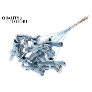 QC Gandiraj Branches on Stick | Colour: Metallic Blue | Gandiraj Insert Stick | Length ± 50 centimetres | 10 insert sticks per bunch