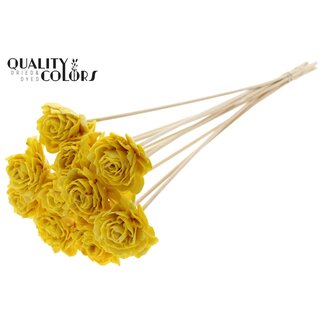 QC Shola Dahlia mit Wachs auf Stiel | Farbe: Gelb | Shola Dhalya | Durchmesser 6 centimeter | Länge ± 50 centimeter | 10 Beistecker pro Bund | Pro Bund