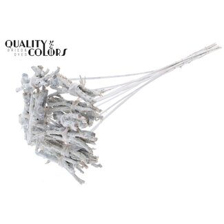 QC Decorative Coco Rose Posy on a stick | Colour: White | Coco Rose Posy Stick | Stick length ± 50 centimetres | 10 sticks per bunch