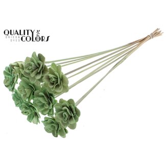 QC Shola rose on stem | Colour: Mint green | Shola Beetal Rose | Diameter 6 centimetre | Length ± 50 centimetre | 10 accessory picks per bunch | Per bunch