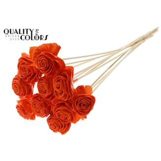 QC Shola Roos met was op stok | Kleur: Oranje | Shola Beauty Rose | Diameter 6 centimeter | Lengte ± 50 centimeter | 10 bijstekers per bos | Per bos