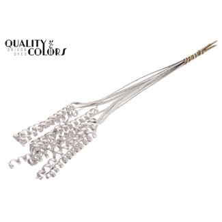 QC Palm Spirale sur tige | Couleur : Champagne | Pique décoratif Cane Cone | Longueur du pique ± 50 centimètres | Par 10 piques
