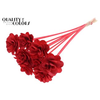QC Shola Wooden Rose on Stick | Colour: Red | Shola Beetal Rose Stick | Rose diameter 6 centimetres | Stick length ± 50 centimetres | 10 sticks per bunch