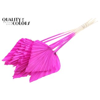 QC Gedroogde Gebleekte Palm Spear | Kleur: Lila Paars | Palmbladeren in Speervorm | Lengte ± 55 centimeter | 10 takken per bos | Per bos