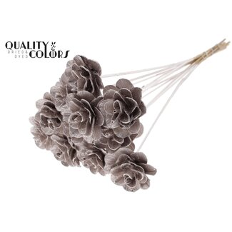 QC Shola Houten Roos op stok | Kleur: Champagnekleurig | Shola Beetal Rose Bijsteker | Diameter roos 8 centimeter | Lengte bijsteker ± 50 centimeter | 10 bijstekers per bos