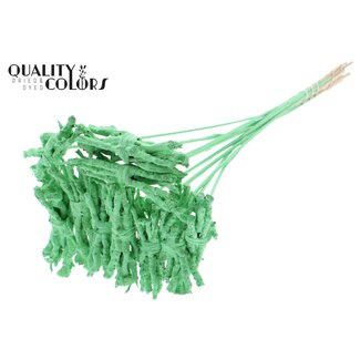 QC Bouquet décoratif Coco Rose sur tige | Couleur : Vert menthe | Coco Rose Posy Piquet | Longueur du piquet ± 50 centimètres | 10 piquets par bouquet