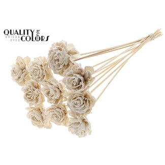 QC Shola Houten met was Dahlia op stok | Kleur: Wit | Shola Dahlia Bijsteker | Diameter bloem 6 centimeter | Lengte bijsteker ± 50 centimeter | 10 bijstekers per bos