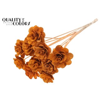 QC Shola Houten Roos op stok | Kleur: Terracotta | Shola Beetal Rose Bijsteker | Diameter roos 8 centimeter | Lengte bijsteker ± 50 centimeter | 10 bijstekers per bos
