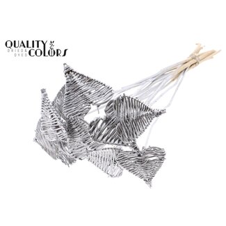 QC Rattan Lata Heart on stick | Colour: Silver-coloured | Lata Heart flat Plant Stake | Diameter 8 centimetres | Length ± 50 centimetres | 10 plant stakes per bunch
