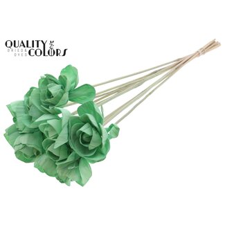 QC Shola Rozen op stok | Kleur: Mintgroen | Shola Dear Holly | Diameter 6 centimeter | Lengte  ± 50 centimeter | 10 bijstekers per bos | Per bos