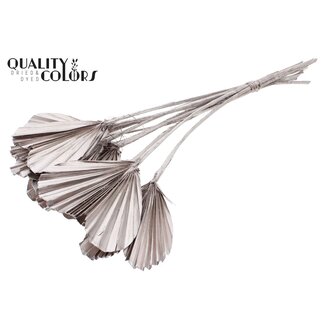 QC Gedroogde Palm Spear Heart | Kleur: Champagnekleurig | Palmbladeren in Hartvorm | Lengte ± 45 centimeter | 10 takken per bos | Per bos