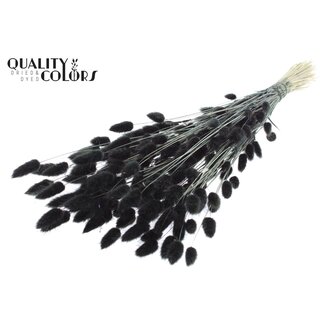 QC Getrocknete Hasenschwänzchen Premium | Farbe: Schwarz | Lagurus Ovatus Trockenblumen | Länge ± 70 Zentimeter | Gewicht 100 Gramm | Pro Bund