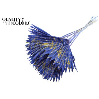 QC Gedroogde Palm Sun Spear | Kleur: Gespetterd Blauw Geel | Palmbladeren in Waaiervorm | Lengte ± 50 centimeter | 10 takken per bos | Per bos