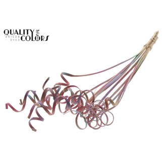 QC Palm Spirale sur tige | Couleur : Dégradé Rose | Cône de Canne Piquet | Longueur du piquet ± 50 centimètres | Par 10 piquets