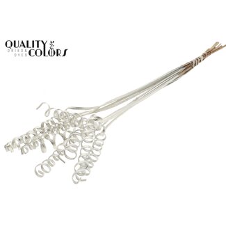 QC Palm Spiral on Stem | Colour: Platinum | Cane Cone Plant Stake | Stake Length ± 50 centimetres | Per 10 stakes