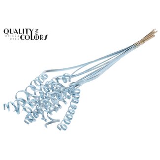 QC Palm Spiraal op steel | Kleur: Metallic Blauw | Cane Cone Bijsteker | Lengte bijsteker ± 50 centimeter | Per 10 bijstekers