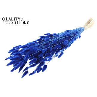 QC Dried Bleached Bunny Tails Premium | Colour: Blue | Lagurus Ovatus dried flowers | Length ± 70 centimetres | Weight 100 grams | Per bunch