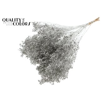 QC Getrocknete Broom Bloom | Farbe: Platinfarben | Ginster Trockenblumen | Länge ± 50 Zentimeter | Gewicht 100 Gramm | Pro Bund