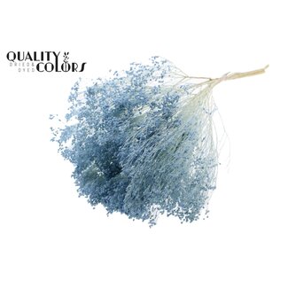 QC Bleached Dried Broom Bloom | Colour: Light Blue | Broom Dried Flowers | Length ± 50 centimetres | Weight 100 grams | Per bunch