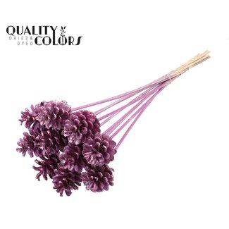 QC Dennenappel op stok | Kleur: Metallic Roze met Glitter | Diameter 5 - 7 centimeter | Lengte ± 50 centimeter | 10 bijstekers per bos
