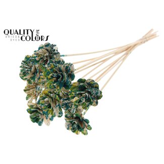 QC Shola Houten Roos met was op stok | Kleur: Meerkleurig Groen Geel | Shola Beetal Rose Bijsteker | Diameter roos 6 centimeter | Lengte bijsteker ± 50 centimeter | 10 bijstekers per bos