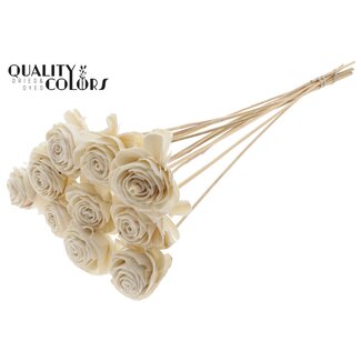 QC Shola Rozen op stok | Kleur: Natuurlijk Wit | Shola Beauty Rose | Diameter 6 centimeter | Lengte ± 50 centimeter | 10 bijstekers per bos | Per bos